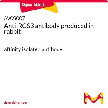 Anti-RGS3 antibody produced in rabbit affinity isolated antibody