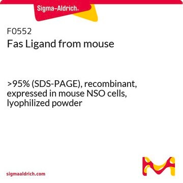 Fas Ligand from mouse &gt;95% (SDS-PAGE), recombinant, expressed in mouse NSO cells, lyophilized powder