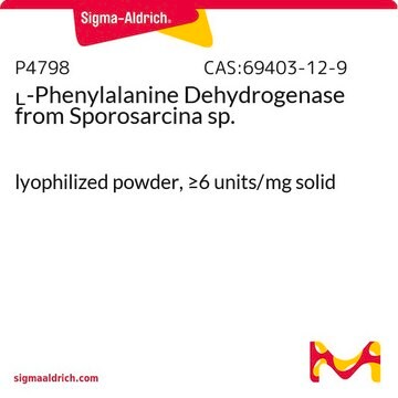 L-Phenylalanine Dehydrogenase from Sporosarcina sp. lyophilized powder, &#8805;6&#160;units/mg solid