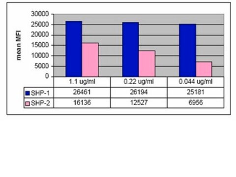 Anti-SHP-1/2 Antibody, clone NL213, rabbit monoclonal culture supernatant, clone NL213, Upstate&#174;