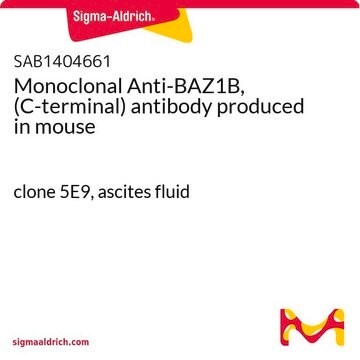 Monoclonal Anti-BAZ1B, (C-terminal) antibody produced in mouse clone 5E9, ascites fluid