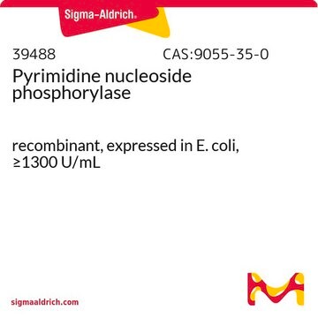 Pyrimidine nucleoside phosphorylase recombinant, expressed in E. coli, &#8805;1300&#160;U/mL