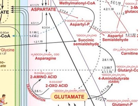 Aspartate Metabolite Library