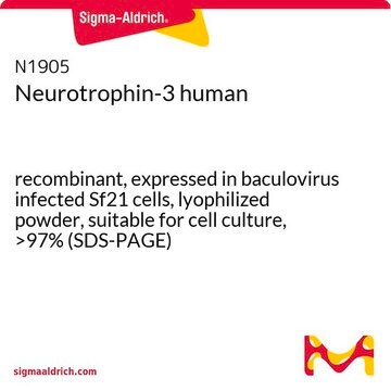 Neurotrophin-3 human recombinant, expressed in baculovirus infected Sf21 cells, lyophilized powder, suitable for cell culture, &gt;97% (SDS-PAGE)