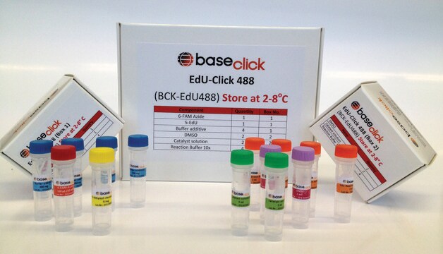 ClickTech EdU Cell Proliferation Kit 555 for IM IV size L sufficient for 100 assays