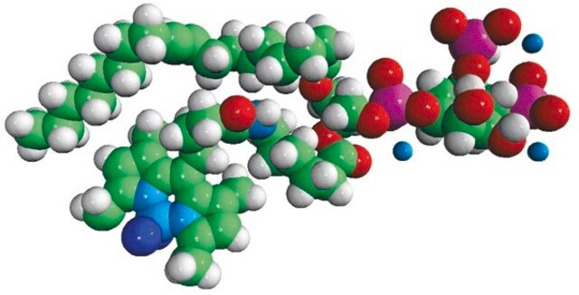 TopFluor&#8482; PI(4,5)P2 Avanti Research&#8482; - A Croda Brand 810184P, powder