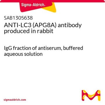 ANTI-LC3 (APG8A) antibody produced in rabbit IgG fraction of antiserum, buffered aqueous solution