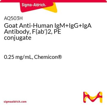 Goat Anti-Human IgM+IgG+IgA Antibody, F(ab&#8242;)2, PE conjugate 0.25&#160;mg/mL, Chemicon&#174;