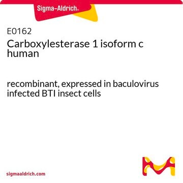 Carboxylesterase 1 isoform c human recombinant, expressed in baculovirus infected BTI insect cells