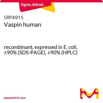 Vaspin human recombinant, expressed in E. coli, &#8805;90% (SDS-PAGE), &#8805;90% (HPLC)