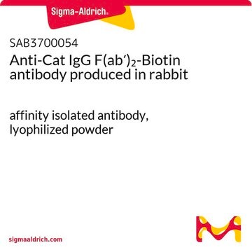 Anti-Cat IgG F(ab&#8242;)2-Biotin antibody produced in rabbit affinity isolated antibody, lyophilized powder