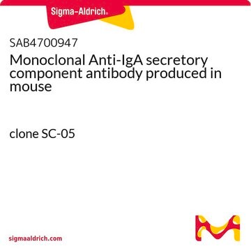 Monoclonal Anti-IgA secretory component antibody produced in mouse clone SC-05