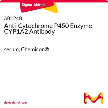 Anti-Cytochrome P450 Enzyme CYP1A2 Antibody serum, Chemicon&#174;