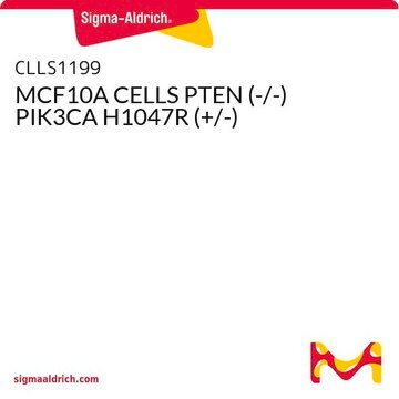 MCF10A CELLS PTEN (-/-) PIK3CA H1047R (+/-)