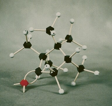 HGS Polyhedron molecular model student set, fundamental organic chemistry