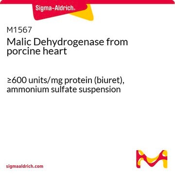 リンゴ酸デヒドロゲナーゼ ブタ心臓由来 &#8805;600&#160;units/mg protein (biuret), ammonium sulfate suspension