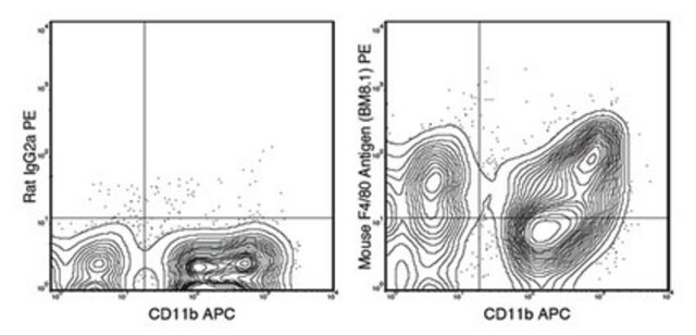 Anti-F4/80 (mouse), PE, clone BM8.1 Antibody clone BM8.1, from rat, PE