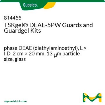 TSKgel&#174; DEAE-5PW Guards and Guardgel Kits phase DEAE (diethylaminoethyl), L × I.D. 2&#160;cm × 20&#160;mm, 13&#160;&#956;m particle size, glass