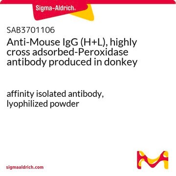 Anti-Mouse IgG (H+L), highly cross adsorbed-Peroxidase antibody produced in donkey affinity isolated antibody, lyophilized powder