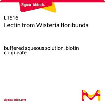 Lectin from Wisteria floribunda buffered aqueous solution, biotin conjugate