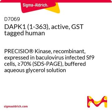 DAPK1 (1-363), active, GST tagged human PRECISIO&#174; Kinase, recombinant, expressed in baculovirus infected Sf9 cells, &#8805;70% (SDS-PAGE), buffered aqueous glycerol solution