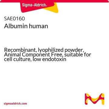 Albumin human Exbumin&#8482;, Recombinant, lyophilized powder, Animal Component Free, suitable for cell culture, low endotoxin