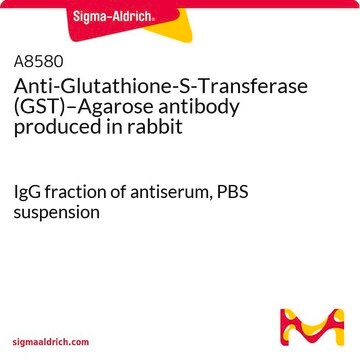 Anti-Glutathione-S-Transferase (GST)–Agarose antibody produced in rabbit IgG fraction of antiserum, PBS suspension