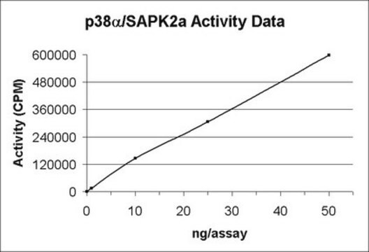 p38&#945;/SAPK2a Protein, active, 10 &#181;g Active, N-terminal GST tagged, recombinant, full length p38&#945;/SAPK2a, for use in Kinase Assays.