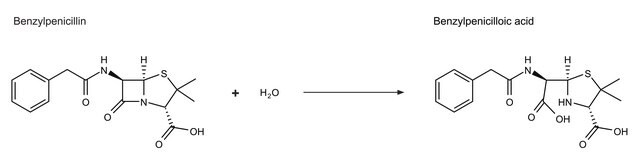 &#946;-Lactamase from Enterobacter cloacae Type IV, lyophilized powder, 0.2-0.6&#160;units/mg protein (using benzylpenicillin)