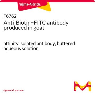 Anti-Biotin&#8722;FITC antibody produced in goat affinity isolated antibody, buffered aqueous solution