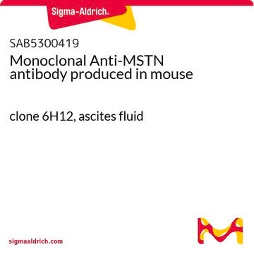 Monoclonal Anti-MSTN antibody produced in mouse clone 6H12, ascites fluid