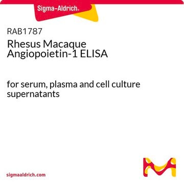 Rhesus Macaque Angiopoietin-1 ELISA for serum, plasma and cell culture supernatants