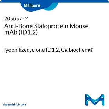 Anti-Bone Sialoprotein Mouse mAb (ID1.2) lyophilized, clone ID1.2, Calbiochem&#174;