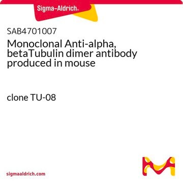 Monoclonal Anti-alpha, betaTubulin dimer antibody produced in mouse clone TU-08