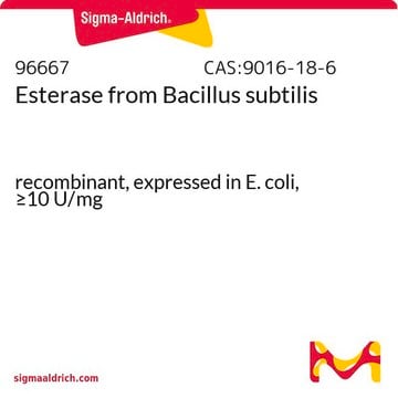 Esterase from Bacillus subtilis recombinant, expressed in E. coli, &#8805;10&#160;U/mg