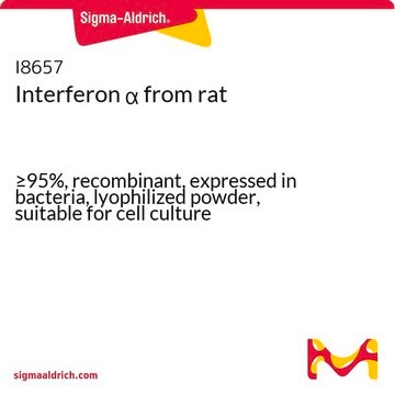 Interferon &#945; from rat &#8805;95%, recombinant, expressed in bacteria, lyophilized powder, suitable for cell culture