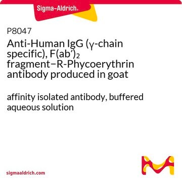 抗ヒトIgG（&#947;-鎖）、F（ab&#8242;）2フラグメント&#8722;R-フィコエリスリン ヤギ宿主抗体 affinity isolated antibody, buffered aqueous solution