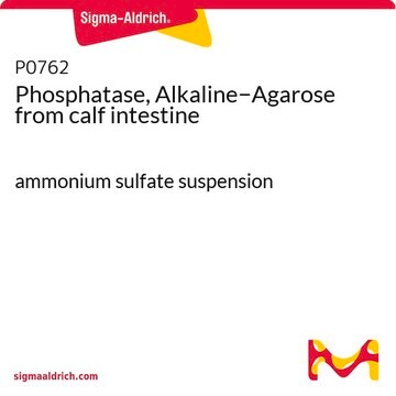 Phosphatase, Alkaline&#8722;Agarose from calf intestine ammonium sulfate suspension