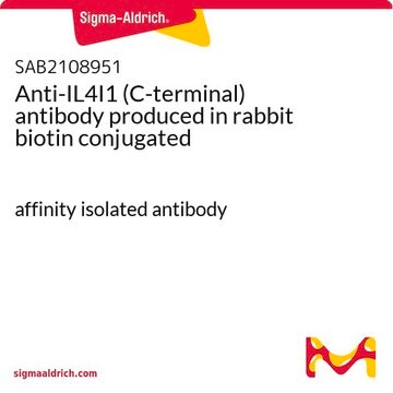 Anti-IL4I1 (C-terminal) antibody produced in rabbit biotin conjugated affinity isolated antibody