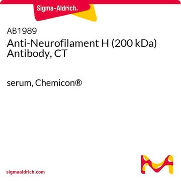 Anti-Neurofilament H (200 kDa) Antibody, CT serum, Chemicon&#174;