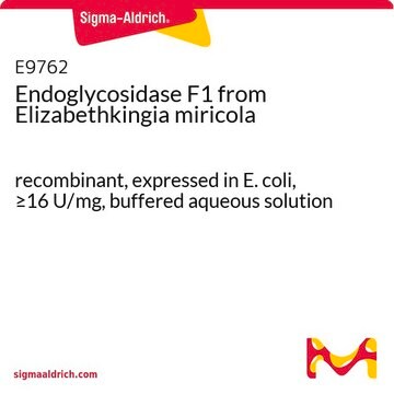 Endoglycosidase F1 from Elizabethkingia miricola recombinant, expressed in E. coli, &#8805;16&#160;U/mg, buffered aqueous solution