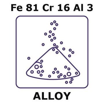 Iron-Chromium-Aluminum alloy, Fe81Cr16Al3 powder, 45micron max. particle size, atomized, 50g