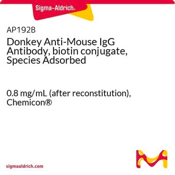 Donkey Anti-Mouse IgG Antibody, biotin conjugate, Species Adsorbed 0.8&#160;mg/mL (after reconstitution), Chemicon&#174;