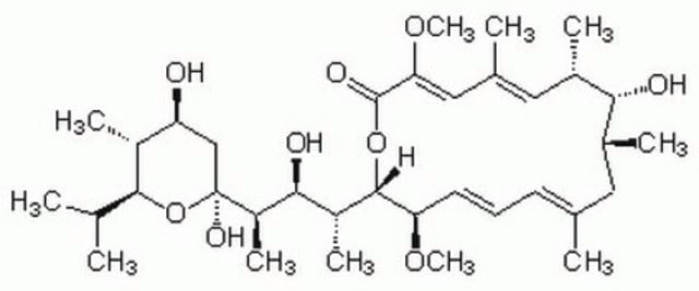 Bafilomycin A1, Streptomyces griseus Bafilomycin A1, CAS 88899-55-2, acts as a highly potent and specific inhibitor of vacuolar-type H+-ATPase (Ki = 500 pM). Blocks the fusion of autophagosome with lysosome.