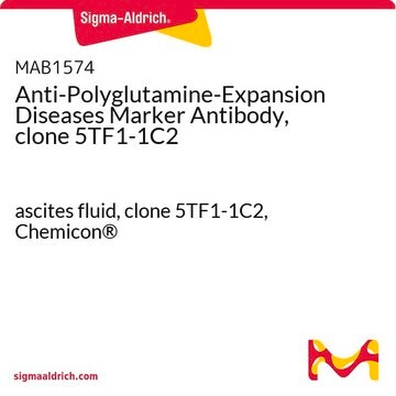 Anti-Polyglutamine-Expansion Diseases Marker Antibody, clone 5TF1-1C2 ascites fluid, clone 5TF1-1C2, Chemicon&#174;