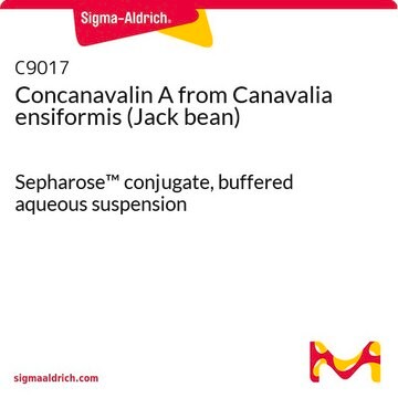 Concanavalin A from Canavalia ensiformis (Jack bean) Sepharose&#8482; conjugate, buffered aqueous suspension