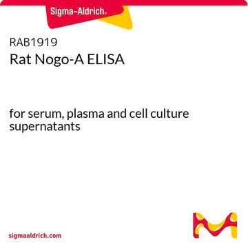 Rat Nogo-A ELISA for serum, plasma and cell culture supernatants