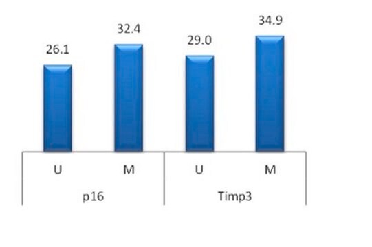 CpGenome Rat Unmethylated Genomic DNA Standard Useful as a control or standard for variety of epigenomic assays such as methylated or unmethylated DNA enrichment, bisulfite conversion or melt curve analysis to determine the status of global or locus- specific DNA methylation.