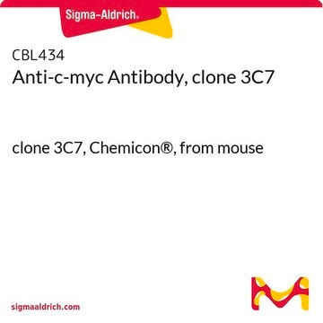 Anti-c-myc Antibody, clone 3C7 clone 3C7, Chemicon&#174;, from mouse