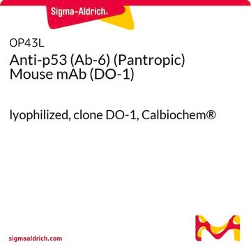 Anti-p53 (Ab-6) (Pantropic) Mouse mAb (DO-1) lyophilized, clone DO-1, Calbiochem&#174;